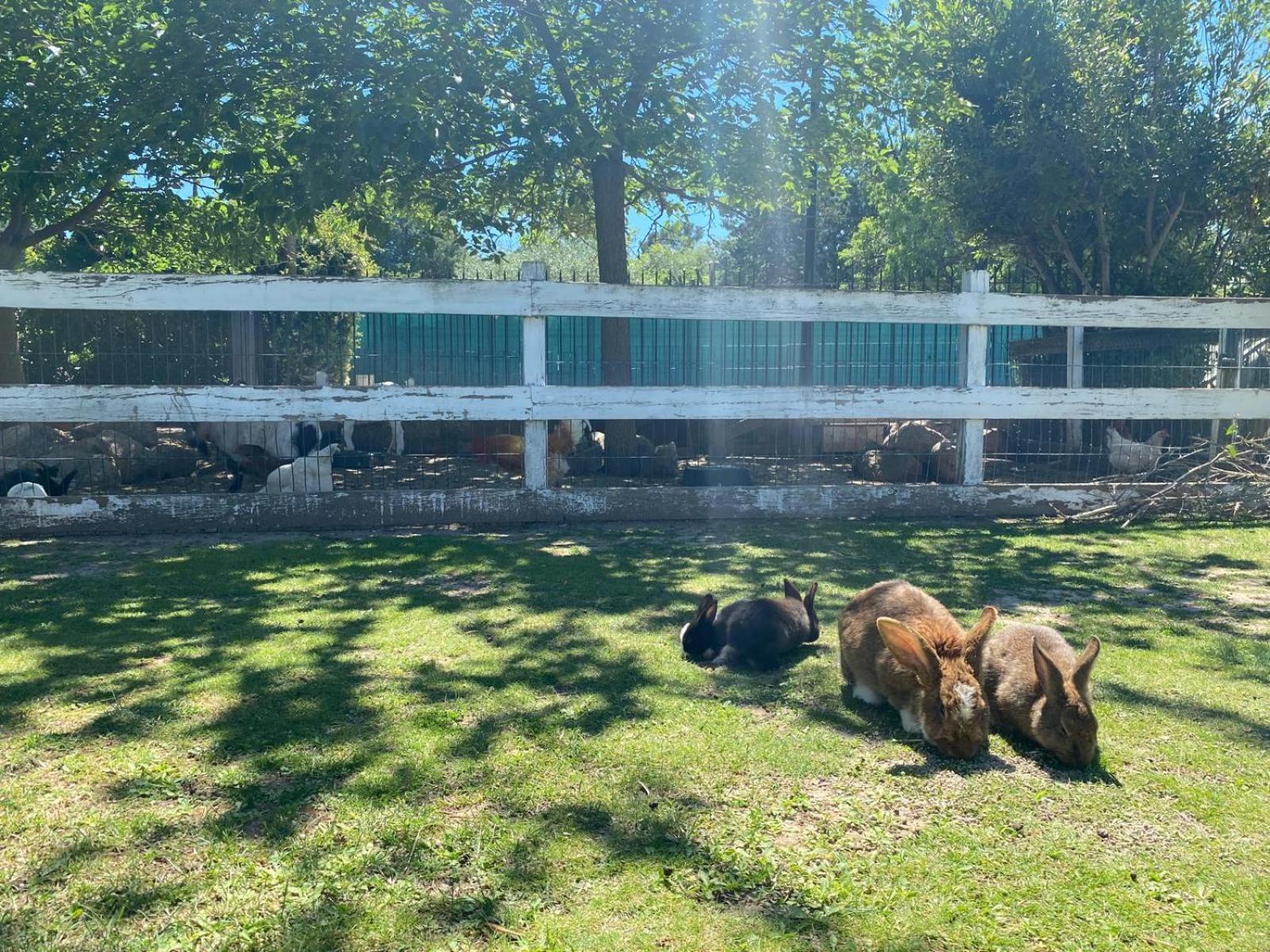 Domaine De La Sourco - Villa, Maisons & Chalet, Magnifique Havre De Paix En Provence トラン・アン・プロバンス エクステリア 写真